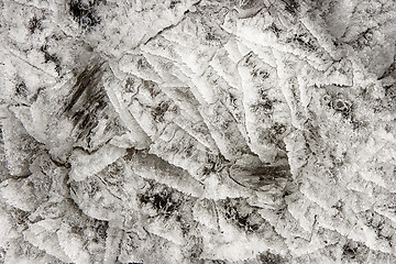 Image showing Ice