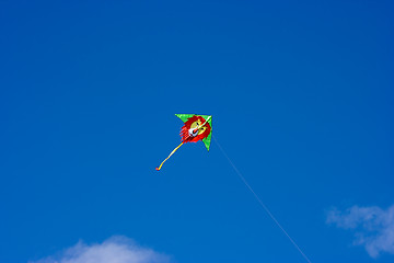 Image showing Kite