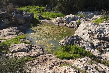 Image showing Puddle covered with green algae among rocks