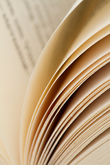 Image showing Paper pages