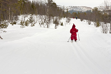 Image showing People skiing