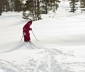 Image showing Child skiing off path