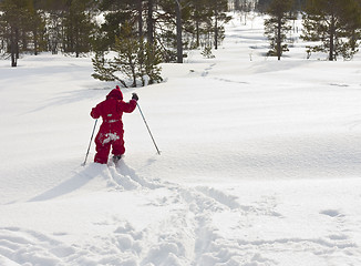 Image showing Child skiing off path