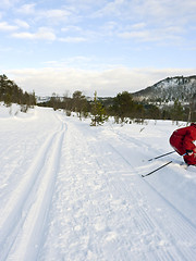 Image showing Skiing off the path