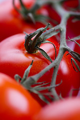 Image showing Closeup of red tomatoes