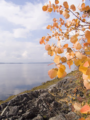 Image showing sea landscape