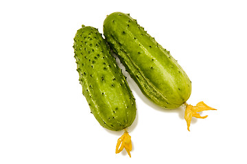 Image showing two cucumbers