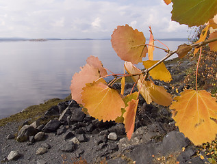 Image showing sea landscape