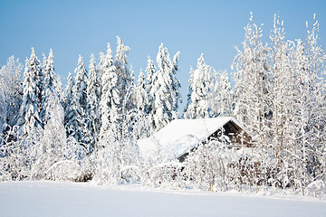 Image showing Hidden barn