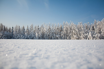 Image showing Snow