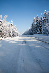 Image showing Winter time