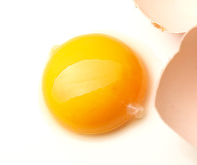 Image showing closeup image of egg