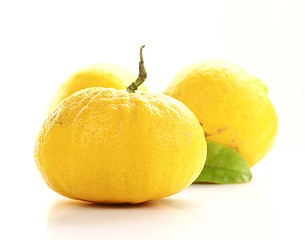 Image showing grapefruit background