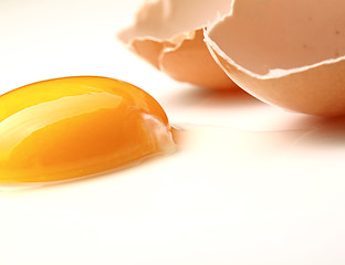 Image showing egg