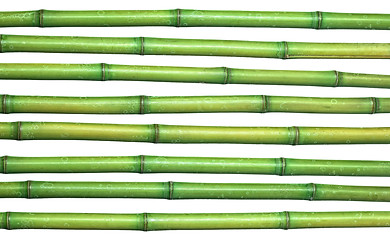 Image showing bamboo background