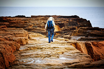 Image showing seascape and traveller