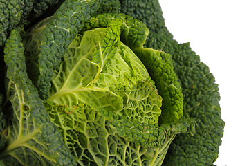 Image showing Savoy Cabbage closeup