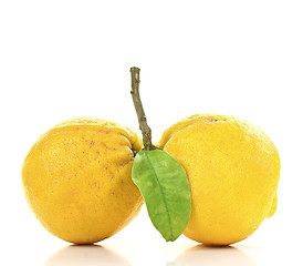 Image showing grapefruit 