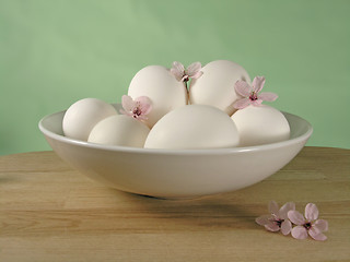 Image showing eggs in a bowl