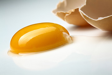 Image showing egg raw