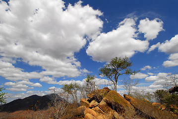 Image showing Kenya