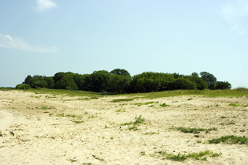 Image showing Green island