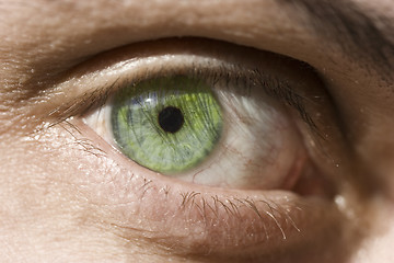 Image showing eye 