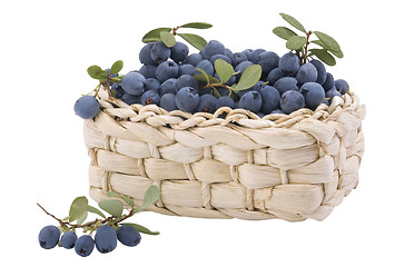 Image showing small basket, full of fresh blueberries