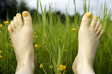 Image showing Feet and a grass