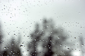 Image showing Drops on glass