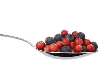 Image showing  full spoon of blueberries and cranberries