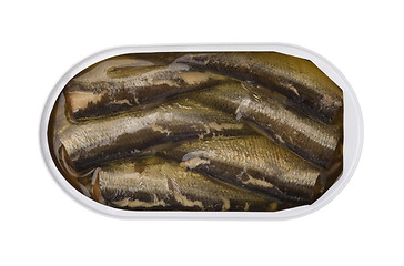 Image showing Sprats in bank, the top view