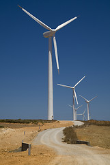 Image showing wind turbines 