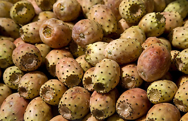 Image showing Cactus fruit