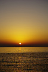 Image showing Sunset Swim