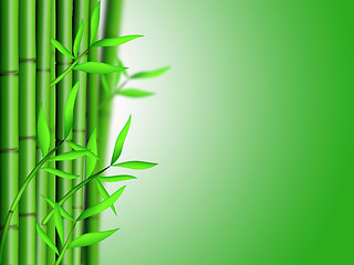 Image showing Bamboo Forest Background