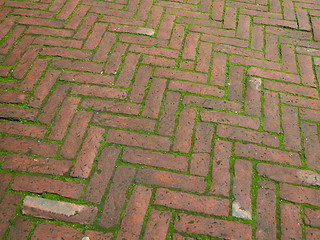 Image showing Brick sidewalk pavement