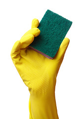 Image showing Hand in glove holding washing sponge