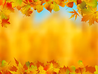 Image showing Autumn leaves border for your text.