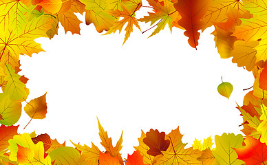Image showing Autumn leaves border for copy space.