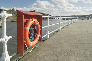 Image showing Life Saver