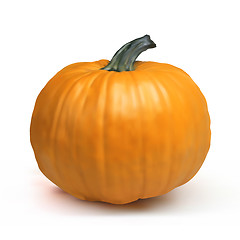 Image showing Pumpkin Isolated on White.