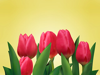 Image showing Bunch of tulip flowers on the table.