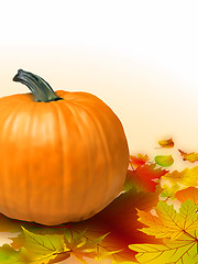 Image showing Fall vegetables as a background including pumpkins