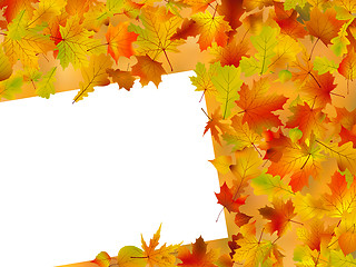 Image showing Thanksgiving Fall Autumn Background
