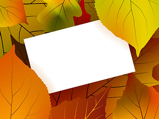 Image showing Blank card surrounded by beautiful autumn leaves