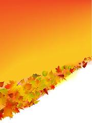 Image showing Autumn vector background