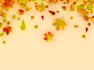 Image showing Autumn card of multicolor leafs.