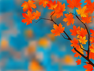 Image showing Beautiful Autumn Background.