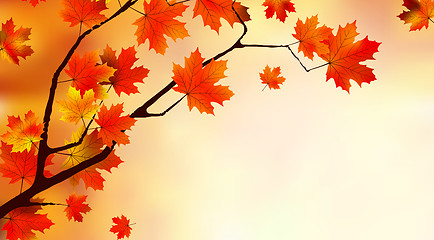 Image showing Abstract colorful autumn background